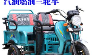 无需上牌三轮车 无需上牌三轮车