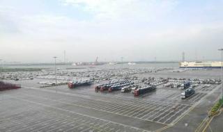 南沙自贸区注册公司