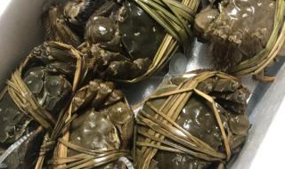 正宗阳澄湖大闸蟹 正宗阳澄湖大闸蟹