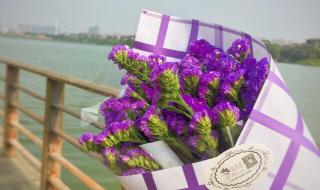 送你一朵勿忘我 送你一朵勿忘我