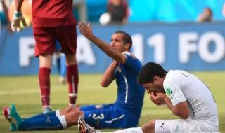 2014年意大利世界杯